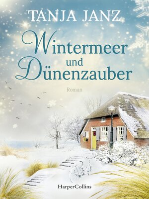 cover image of Wintermeer und Dünenzauber